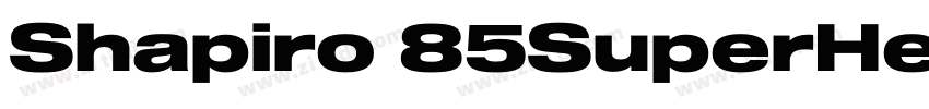 Shapiro 85SuperHeavy字体转换 Shapiro 85SuperHeavy字体转换